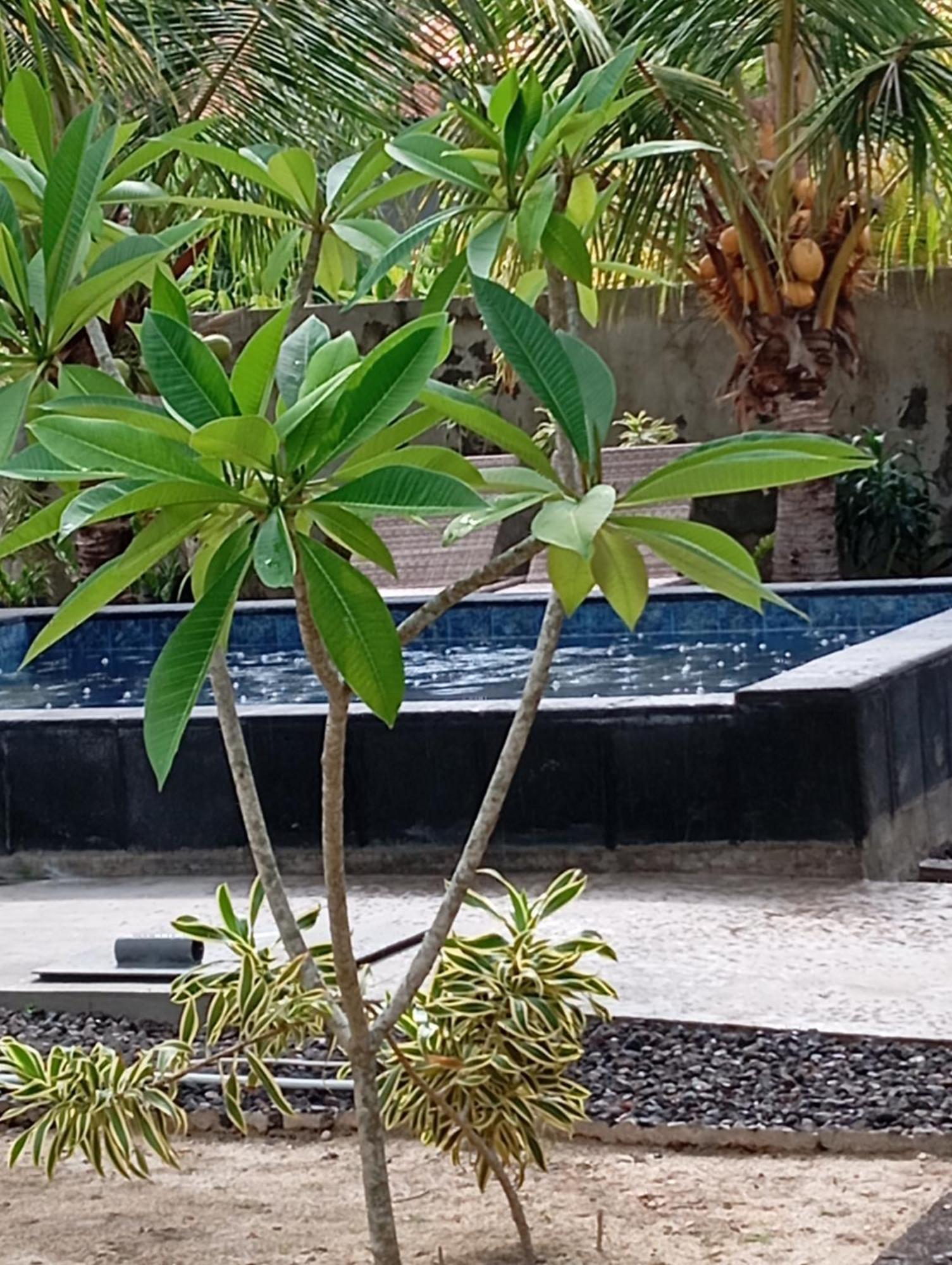 Belong Home Stay Lembongan Exterior foto
