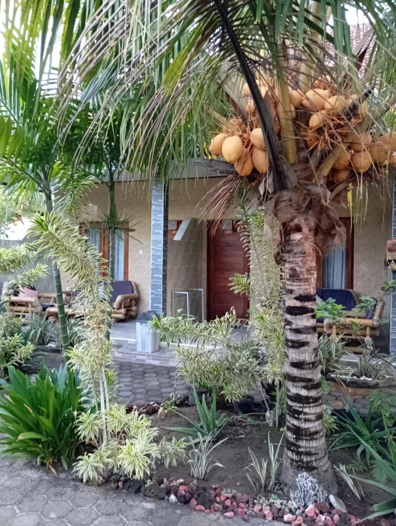 Belong Home Stay Lembongan Habitación foto